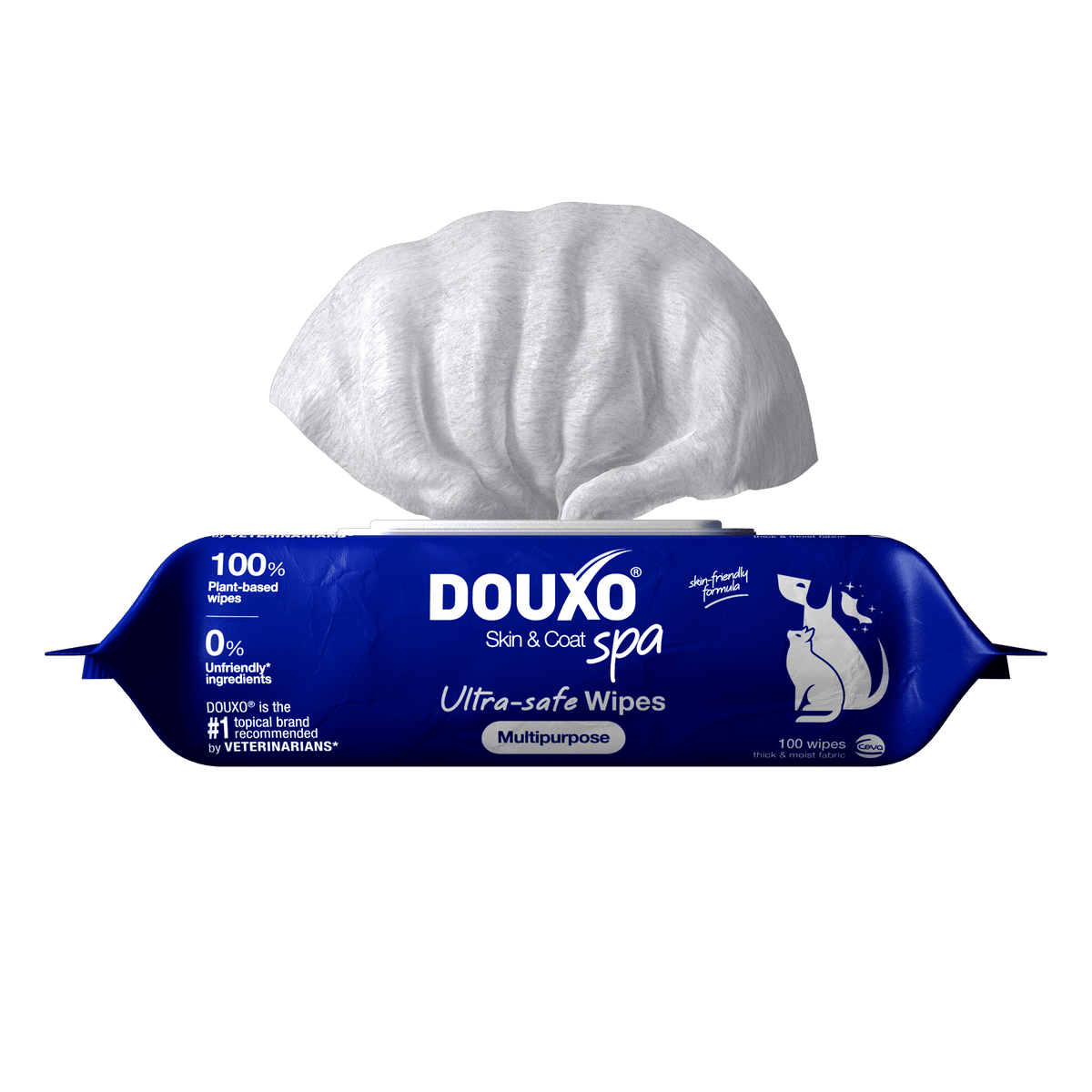 100 wipes