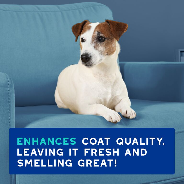 DOUXO® SPA Odour Control Shampoo