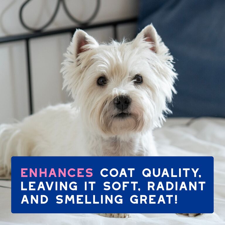 DOUXO® SPA Itch-soothing Shampoo
