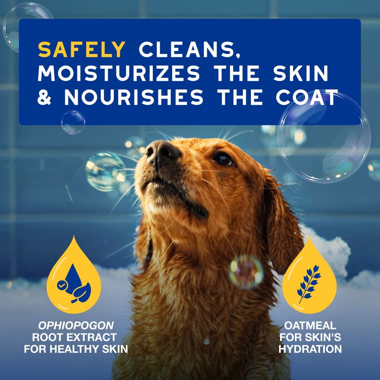  DOUXO® SPA Hydrating Shampoo